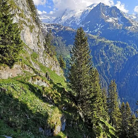 Le Cocon Du Catogne Proche Martigny Verbier - Netflix - شقة Valettes