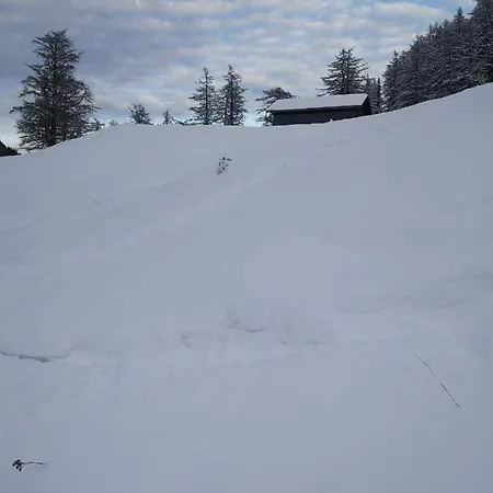 Le Cocon Du Catogne Proche Martigny Verbier - Netflix - *