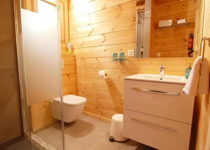 Le Cocon Du Catogne Proche Martigny Verbier - Netflix - Daire