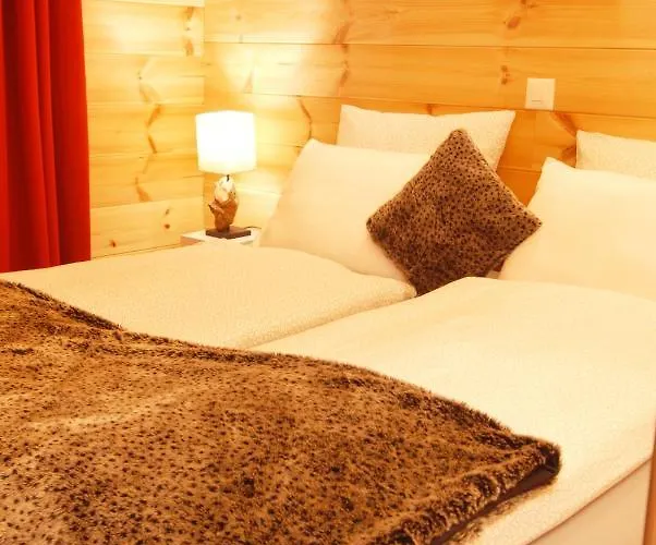 Le Cocon Du Catogne Proche Martigny Verbier - Netflix - Daire