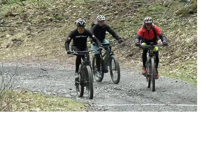 Le Cocon Du Catogne Proche Martigny Verbier - Netflix - * Valettes