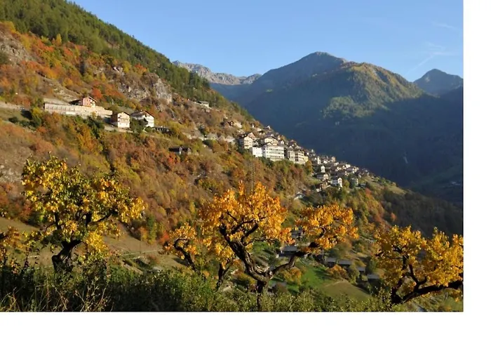 Daire Le Cocon Du Catogne Proche Martigny Verbier - Netflix - *