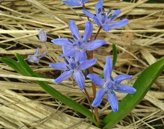 Le Cocon Du Catogne Proche Martigny Verbier - Netflix - Daire Valettes