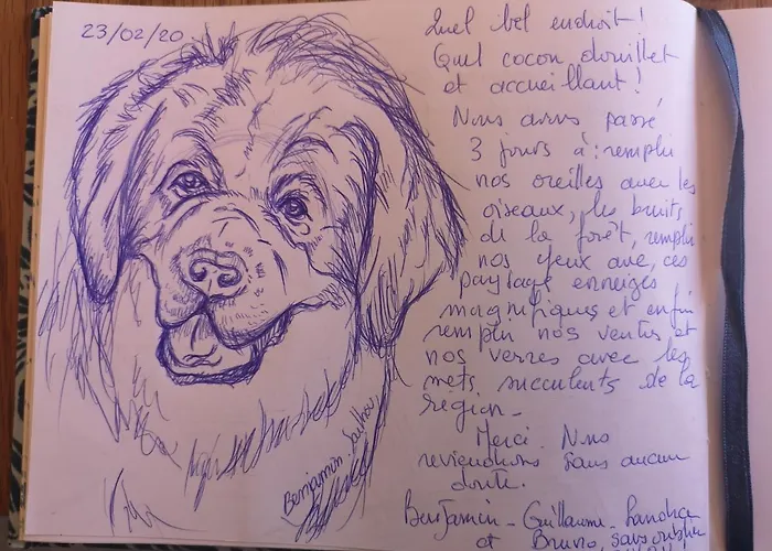 Le Cocon Du Catogne Proche Martigny Verbier - Netflix - Valettes