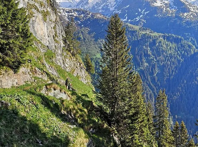 Le Cocon Du Catogne Proche Martigny Verbier - Netflix - Daire Valettes