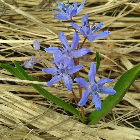 Le Cocon Du Catogne Proche Martigny Verbier - Netflix - Lejlighed Valettes