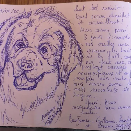 Le Cocon Du Catogne Proche Martigny Verbier - Netflix - Valettes