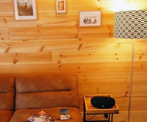 Apartament Le Cocon Du Catogne Proche Martigny Verbier - Netflix - *